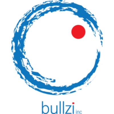 BullzI Inc