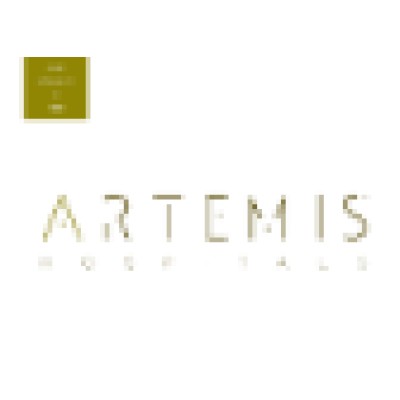 Artemis Health Institute, an Apollo Tyres Group