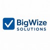 BigWize Solutions
